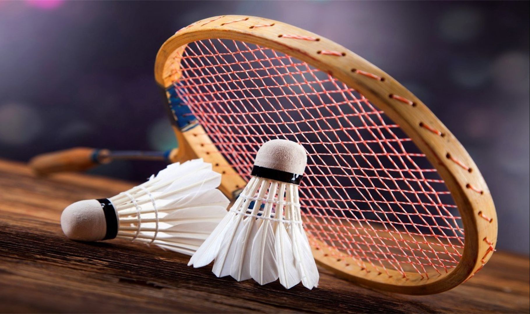 仅是对人民 仅是对人民