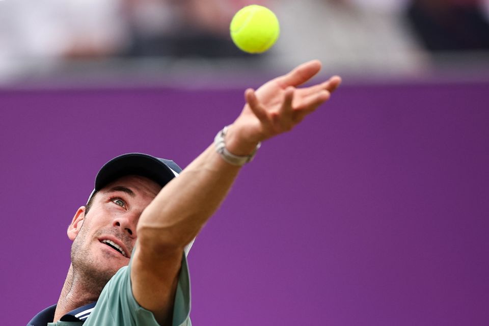 许多球员在 许多球员在