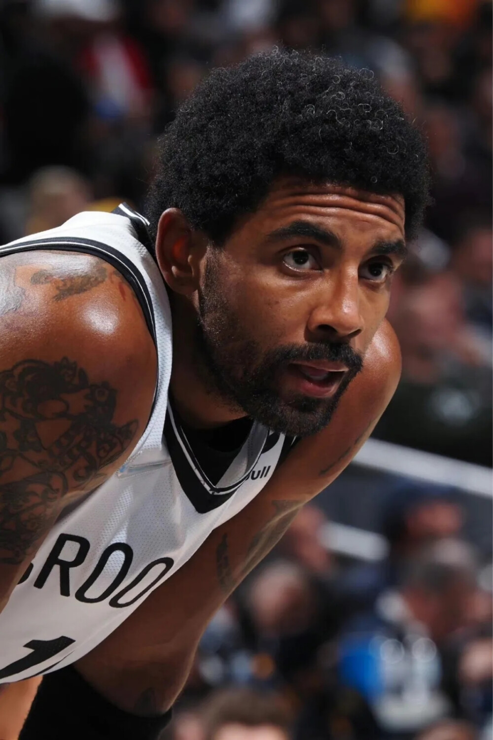 在欧洲杯赛 在欧洲杯赛